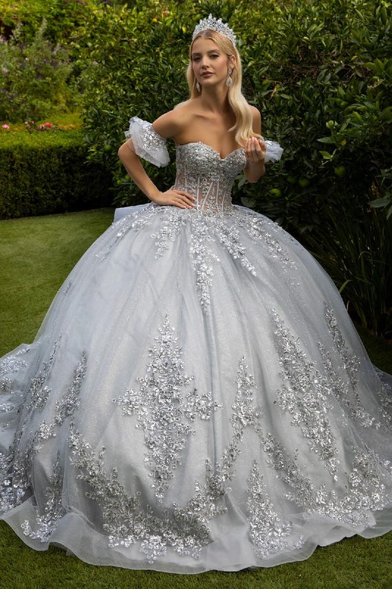 Silver Glitter Mesh Quinceanera Dress - Etsy Australia