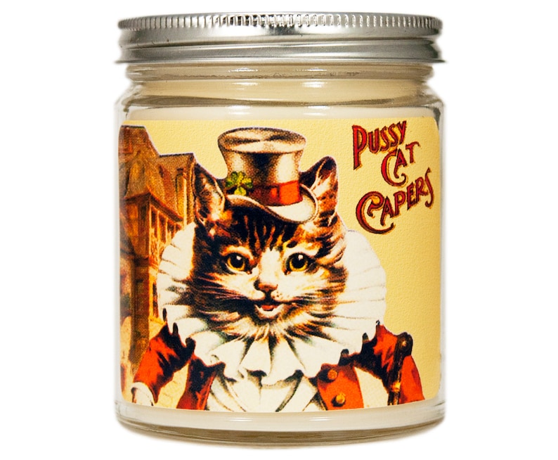 Cat Lover Gift Cat Soy Candle Scented Candle Kitty Candle Etsy