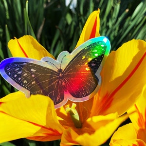 Holographic Butterfly Sticker image 2