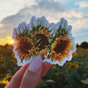 Sticker tournesol, Stickers floraux aquarelles, Sticker botanique, Sticker tournesols