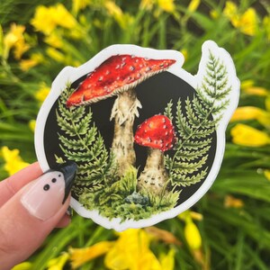 Sticker champignon cottagecore, sticker mycologie, sticker champignons, peinture champignon vénéneux, cadeau Cabincore, décoration Forestcore