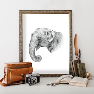 Baby Elephant Giclee Print: Graphite Drawing, Wildlife Art
