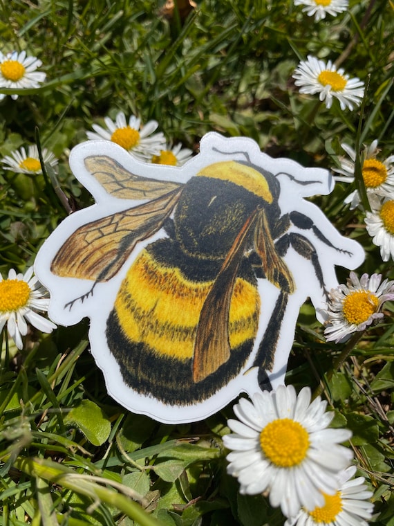 Bumble Bee Decor / Honey Bee Prints / Childrens Neutral Wall Art