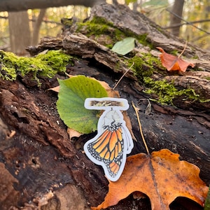 Butterfly Life Cycle Stages Vinyl Sticker, Cottagecore Decal, Monarch Butterfly Decor, Monarch Chrysalis Art
