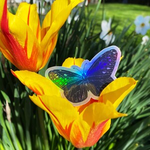 Holographic Butterfly Sticker image 10
