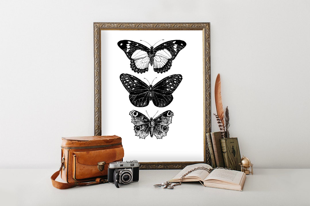 Black and White Butterfly Poster, Monarch Butterfly Wall Art