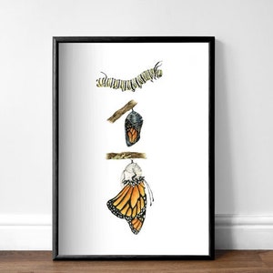Monarch Butterfly Life Cycle Stages Giclee Art Print, Cottagecore Decor, Monarch Butterfly Wall Decor Painting, Monarch Chrysalis Art