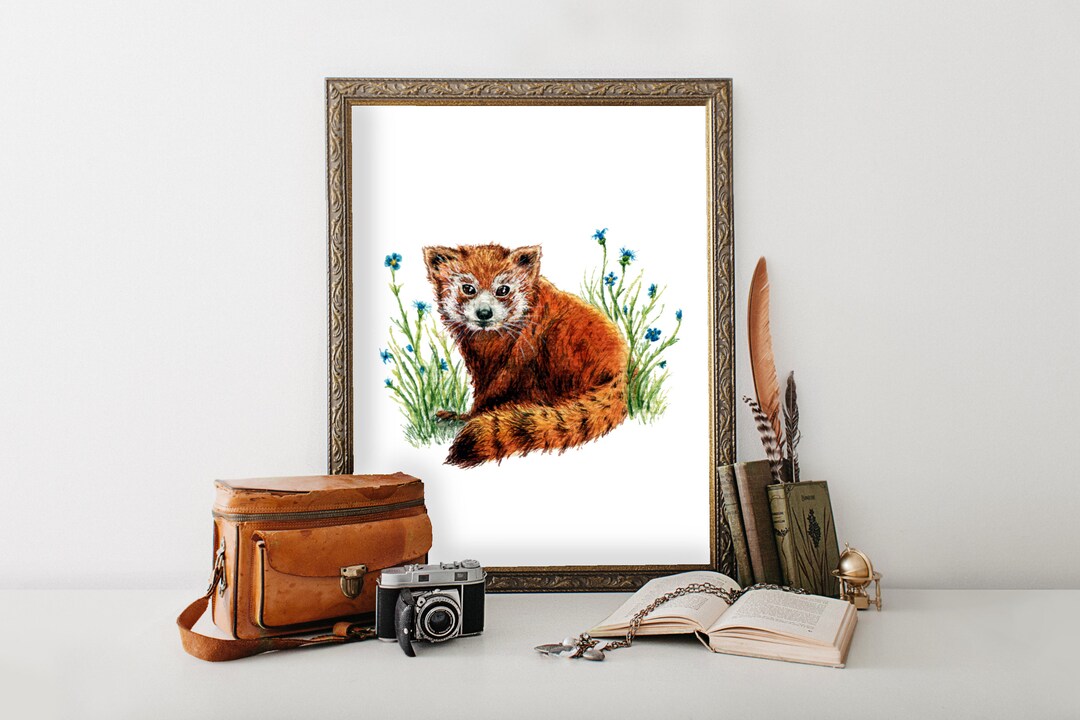 Curated visual reference: Fresh Look at Buy Red Panda Giclee Print Baby Animal Safari Nursery Art