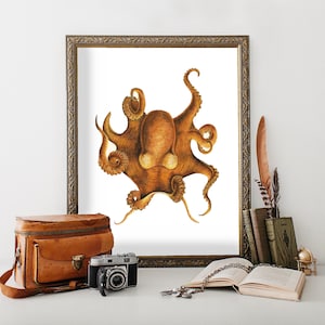 Octopus Wand Kunstdruck, Aquarell Oktopus Malerei, Marine Leben Dekor, Ozean Thema Badezimmer Kunst, antike Oktopus Poster