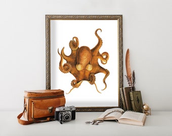 Octopus Wall Art Print, Watercolor Octopus Painting, Marine Life Decor, Ocean Theme Bathroom Art, Antique Octopus Poster