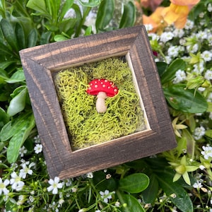 Mushroom Cottagecore Lidded Trinket Box | Dark Academia Fungi Jewelry Box | Mosscore  Catchall Dish | Wooden Cabincore Gift, Engagement Ring