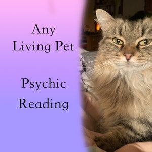 ANY PET Psychic Reading for LIVING Pet by Psychic Adelle Fast