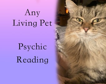 Pet Psychic Reading, Pet personality, dog, cat, bird, bunny, guinea pig, horse, fish, tarot