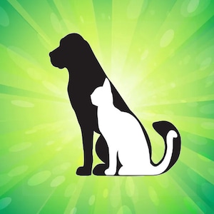 Pet Heart Chakra Sesión de sanación, Chakra psíquico, Adelle psíquico, Chakras de sanación, Psíquico rápido, Sanación de Reiki, Sanador de Reiki a distancia, sanado
