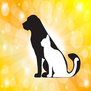 Pet Solar Plexus Chakra Healing Session, Psychic Chakra, Psychic Adelle, Healing Chakras, Fast Psychic, Reiki Healing, Distant Reiki Healer