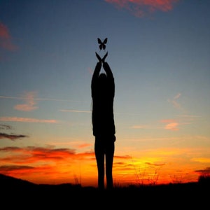 May include: Silhouette of a person with arms raised, reaching towards a butterfly flying in the air against a sunset sky.