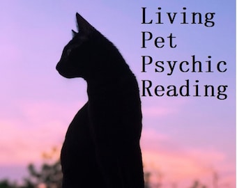 ANY PET Psychic Reading for LIVING Pet by Psychic Adelle Fast