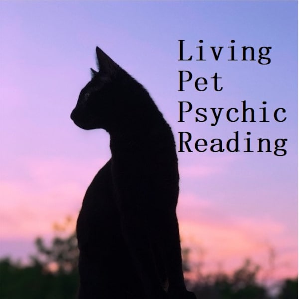 ANY PET Psychic Reading for LIVING Pet by Psychic Adelle Fast