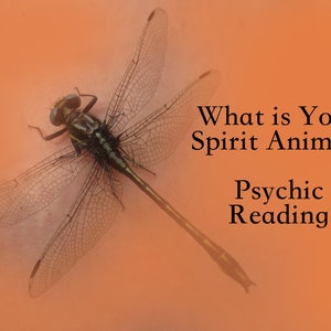Mi espíritu animal lectura psíquica, guía espiritual animal, lectura rápida psíquica Adelle, psíquico de mascotas, psíquico animal, mi espíritu animal