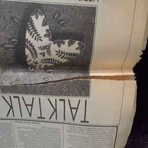 May include: Black and white newspaper page with the word "TALKTALK" in large capital letters. A detailed illustration of a butterfly with leaf-like patterns on its wings is featured. Water droplets are scattered around the butterfly.
