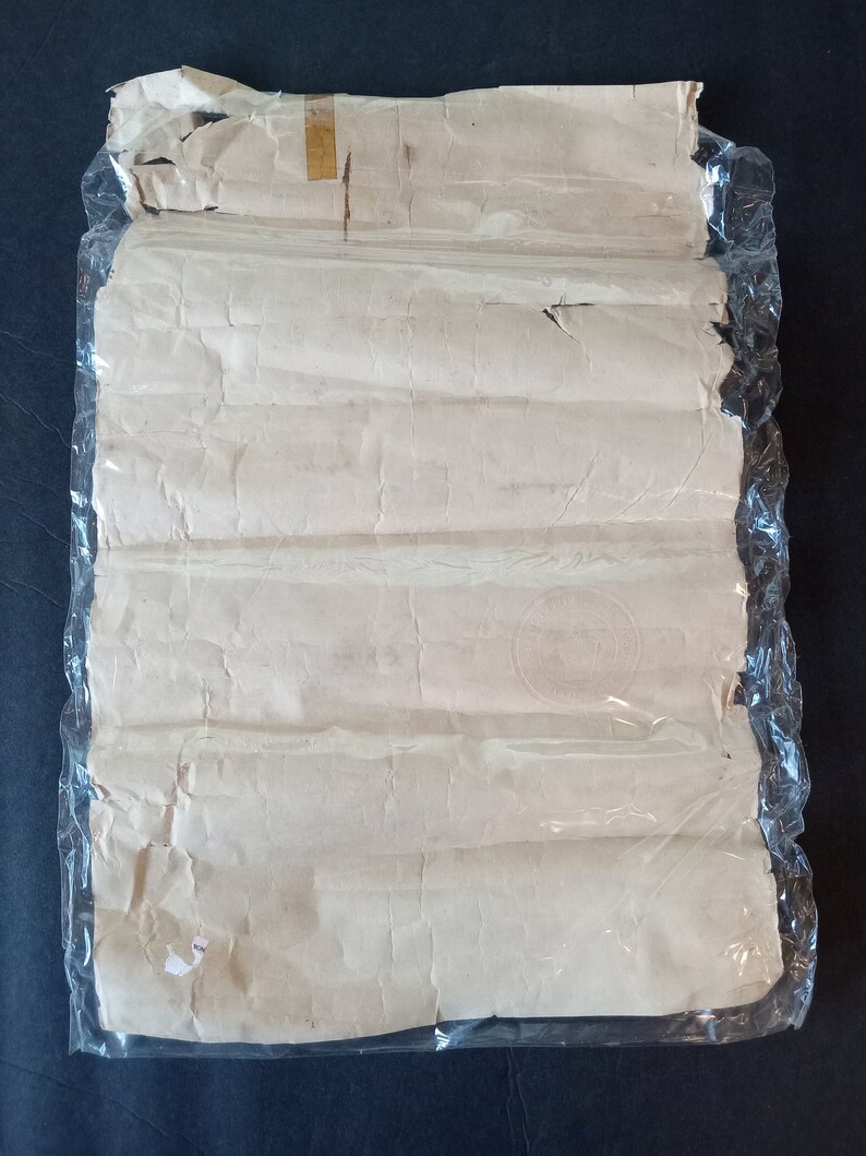 Puede incluir: Un paquete de papel enrollado, sellado en pl&aacute;stico transparente. El papel es blanquecino con pliegues visibles y un sello circular. El envoltorio de pl&aacute;stico est&aacute; ligeramente rasgado. Fondo azul oscuro.