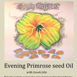 SOLD Evening Primrose: Botanical Cure image 5