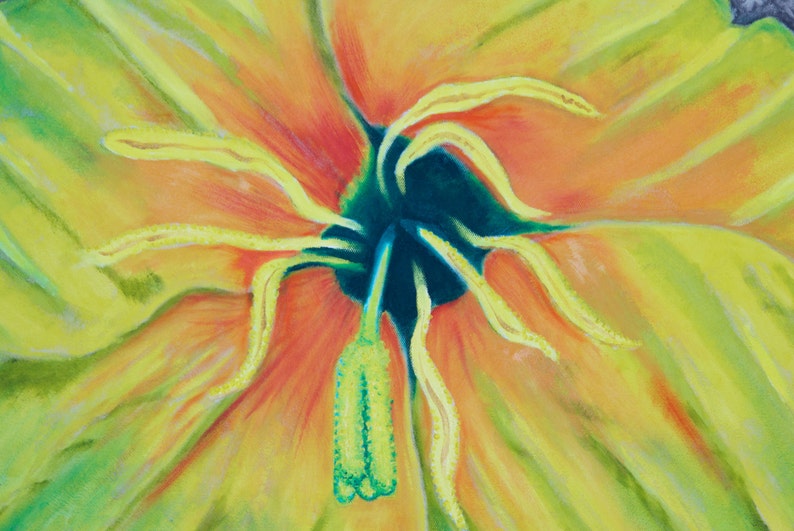 SOLD Evening Primrose: Botanical Cure image 2