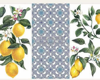 Lemon Tree • Rub on Furniture Transfer • Redesign with Prima • Furniture Flipping • Flips • Canvas • Transfers • Wall Decal • Decals •