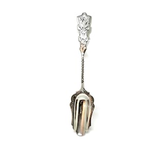 May include: A silver sugar spoon with an ornate handle and a scoop-shaped bowl.