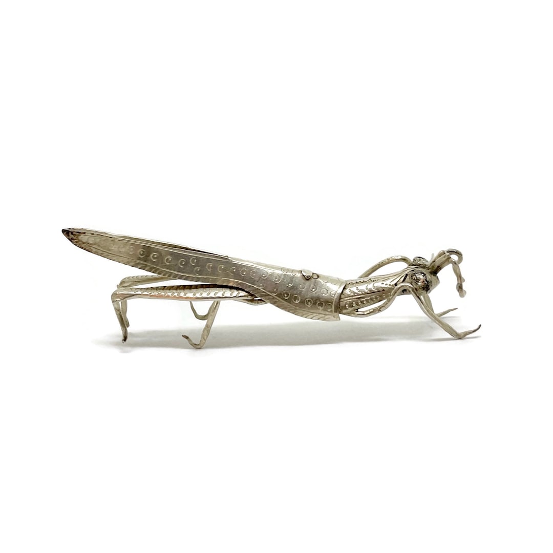 Miniature Silver Mantis Grasshopper. Miniature Silver Sprinkhaan ...