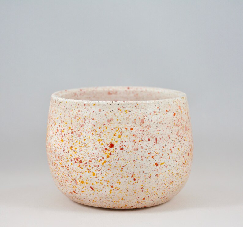 Speckled Ceramic Small Succulent Planter Bowl Air Plant Holder