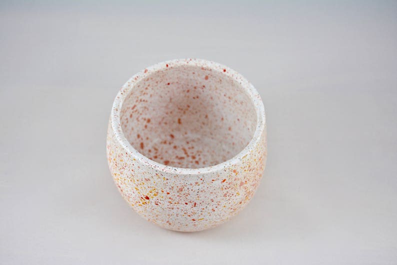 Speckled Ceramic Small Succulent Planter Bowl Air Plant Holder
