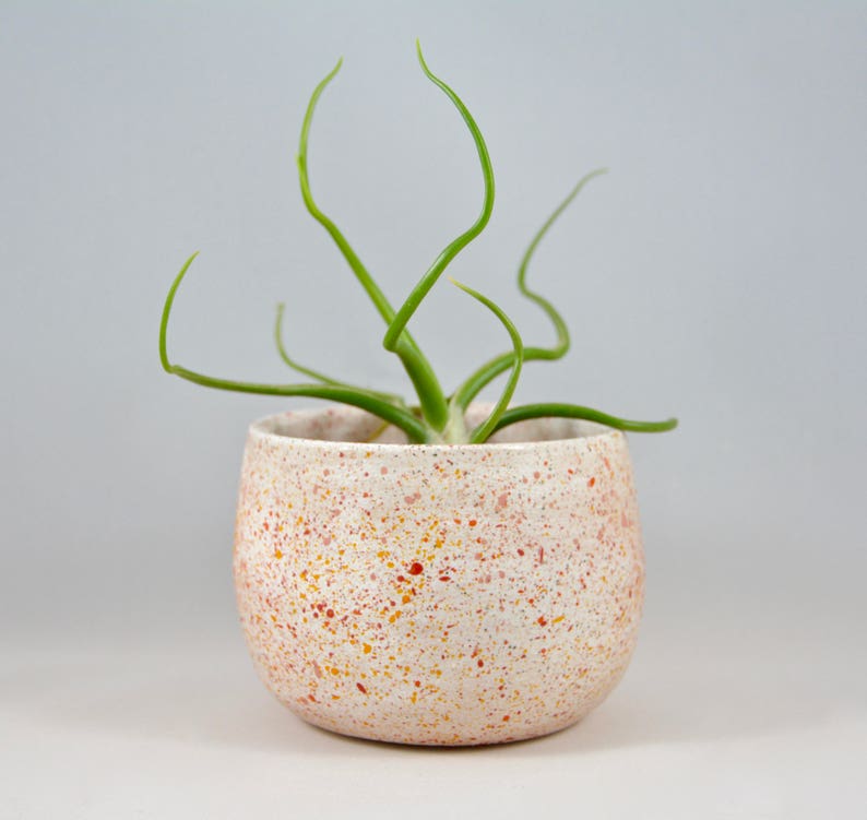 Speckled Ceramic Small Succulent Planter Bowl Air Plant Holder