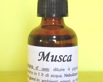 MUSCA - NO FLIES zone