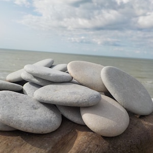 May include: A pile of smooth, gray and white oval-shaped stones, likely collected from a beach, arranged on a piece of driftwood. The stones are various sizes and have a natural, polished look.