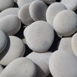 May include: A collection of smooth, light gray stones, some with a slightly rough texture, arranged in a random pattern on a wooden surface.