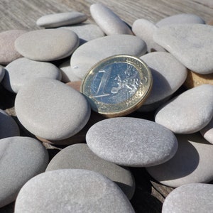 May include: A collection of smooth, gray and white stones of various sizes, with a single euro coin in the center.