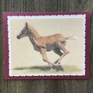 Blank Horse Card
