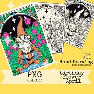 Mois des fleurs de naissance, nain de tarot, fleur d'anniversaire d'avril, clipart PNG, téléchargement numérique png, fleur du mois, anniversaire de fleur de tulipe, dessinés à la main