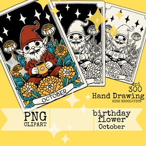 Gnomo de jardim florido, aniversário de flor de calêndula, mês de nascimento, clipart PNG, gnomo de café, cartas engraçadas de gnomo, carta de tarô desenhada à mão, Cosmo