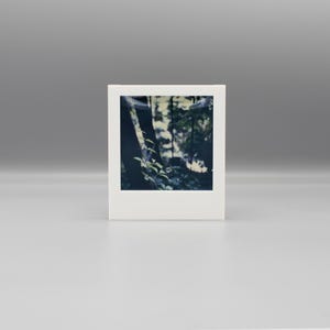 instant film hanging frames - 3D printed - polaroid & instax photos