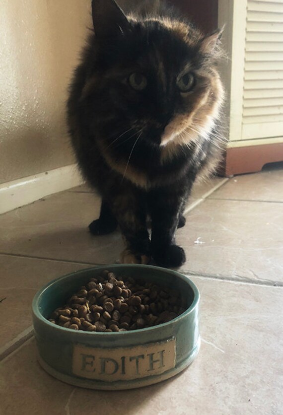 ceramic water bowl for cats