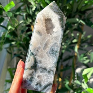 May include: A polished, rectangular crystal with a geode center. The crystal features a mix of white, gray, and green patterns. The geode center is a light beige color. The crystal is held against a backdrop of green foliage.