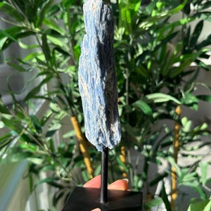 May include: A blue kyanite crystal specimen, mounted on a black metal stand. The crystal has a rough, textured surface with shades of blue and white. The stand has a square base and a thin, vertical rod.