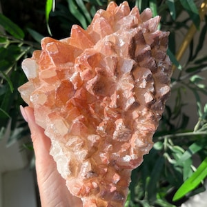 1,72 kg calcietcluster / grote rode, oranje hondentand calciet / ruw mineraal / zeldzame ruwe kristallen / mineralencollectie