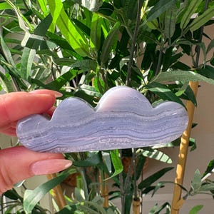May include: A blue lace agate cloud-shaped crystal. The stone has a layered appearance with shades of blue and white. The crystal is held in front of a background of green leaves and bamboo stalks.