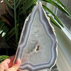 May include: A polished, triangular agate slice with concentric bands of grey, white, and brown. The centre features a small, open cavity. The stone is held up in front of a green plant and a window.