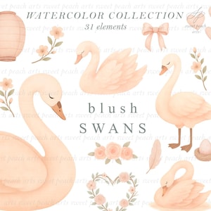Blush Swan Clipart Watercolor Wedding Love Couple Marriage Pond Garden Digital Art png Bundle Clip art Painting COMMERCIAL LICENSE INCLUDED