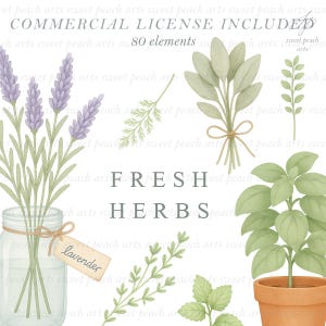 May include: Watercolor illustration of fresh herbs, including lavender, sage, and basil. The image features a jar of lavender, a bundle of sage tied with twine, and a basil plant in a terracotta pot. Text reads "FRESH HERBS".