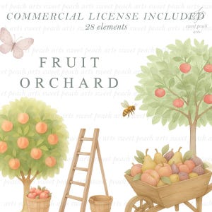 May include: Watercolor illustration with the text "FRUIT ORCHARD". The image features fruit trees with peaches and apples, a wooden ladder, a wheelbarrow filled with fruit, a butterfly, and a bee. The words "COMMERCIAL LICENSE INCLUDED" are also present.